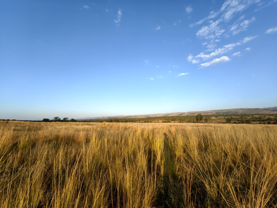 Commercial Property for Sale in Buffelsfontein A H North West